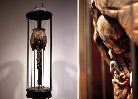 Birdcage