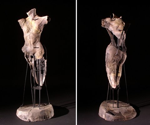 Female Torso